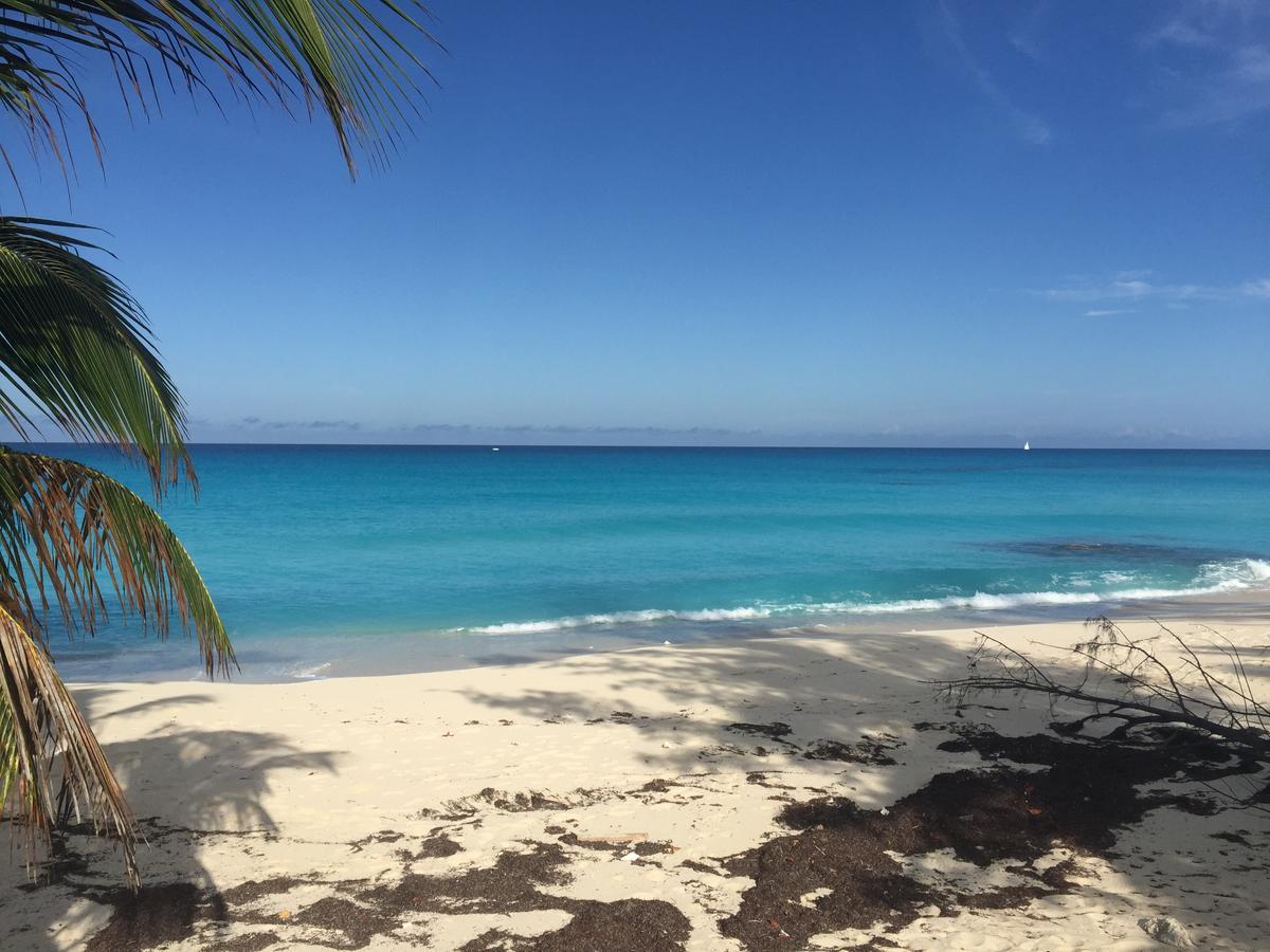 Bimini Seaside Villas - Pink Cottage With Beach View Alice Town  Buitenkant foto