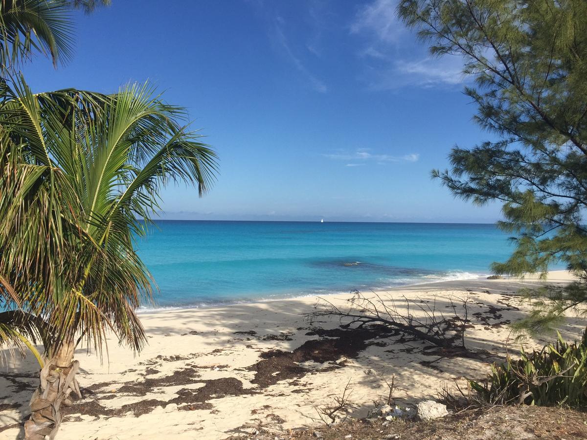 Bimini Seaside Villas - Pink Cottage With Beach View Alice Town  Buitenkant foto